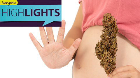 Cannabis in der Schwangerschaft erhöht unter anderem das Risiko für Psychosen