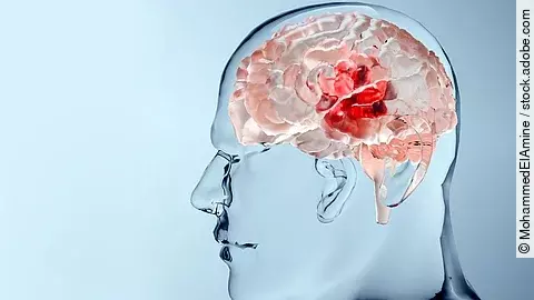 Human brain nervous system anatomy, neural cancer, Sebaceous bulb, brain cancer tumor malignant cells growth and spreading, Meningioma, neurological disease, metastasis cancerous, cerebrum, 3d render