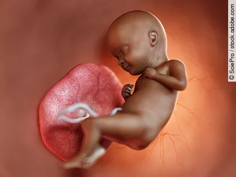 3d rendered medically accurate illustration of a black fetus