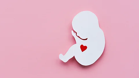 Paper silhouette of a human embryo with a red heart on a pink background. Flat lay,Banner, place for text.