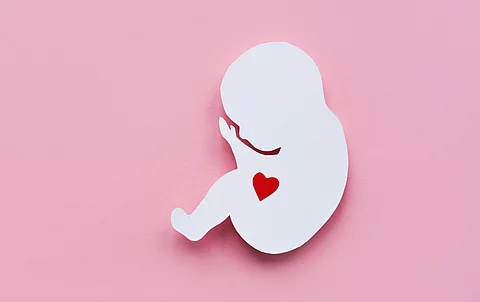 Papier-Silhouette eines Embryos mit rotem Herz auf rosafarbenem Hintergrund