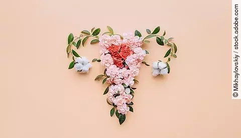 Abstract image of the uterus. female reproductive system made up