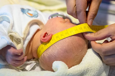 urn:newsml:dpa.com:20090101:260317-935-1221777