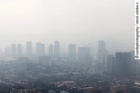 Feinstaub – unterschätzte Gefahr für Schwangere