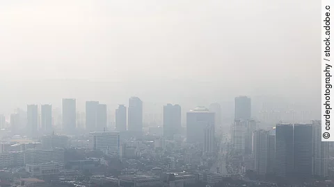 Feinstaub – unterschätzte Gefahr für Schwangere