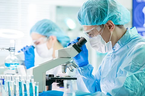 Labor mit Wissenschaftler an Mikroskopen