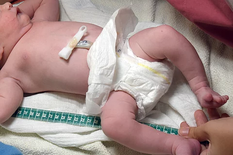 urn:newsml:dpa.com:20090101:251216-935-1022754