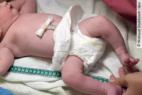 urn:newsml:dpa.com:20090101:251216-935-1022754