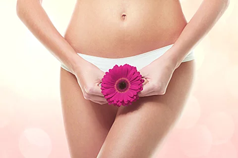 Eine violette Gerbera vor dem weiblichen Intimbereich - Sinnbild für sexuelle Gesundheit
