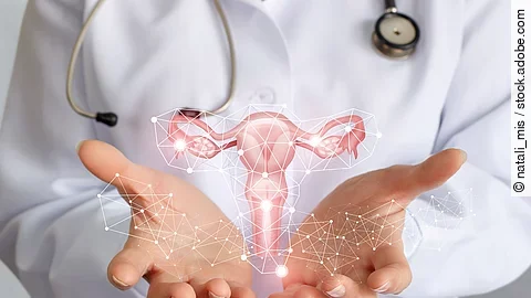 Mediziner zeigt ein Schema des Uterus