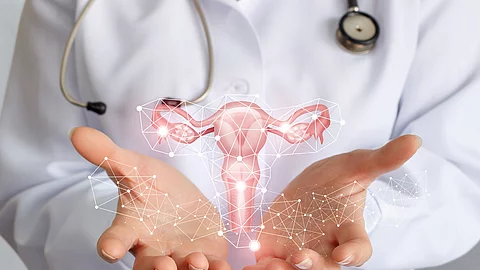 Mediziner zeigt ein Schema des Uterus