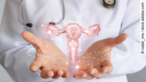 Worker of medicine shows the uterus .