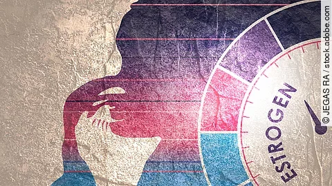 Östrogen – ein körpereigener Schutzschild