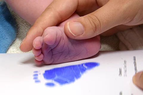 urn:newsml:dpa.com:20090101:260327-935-1244989